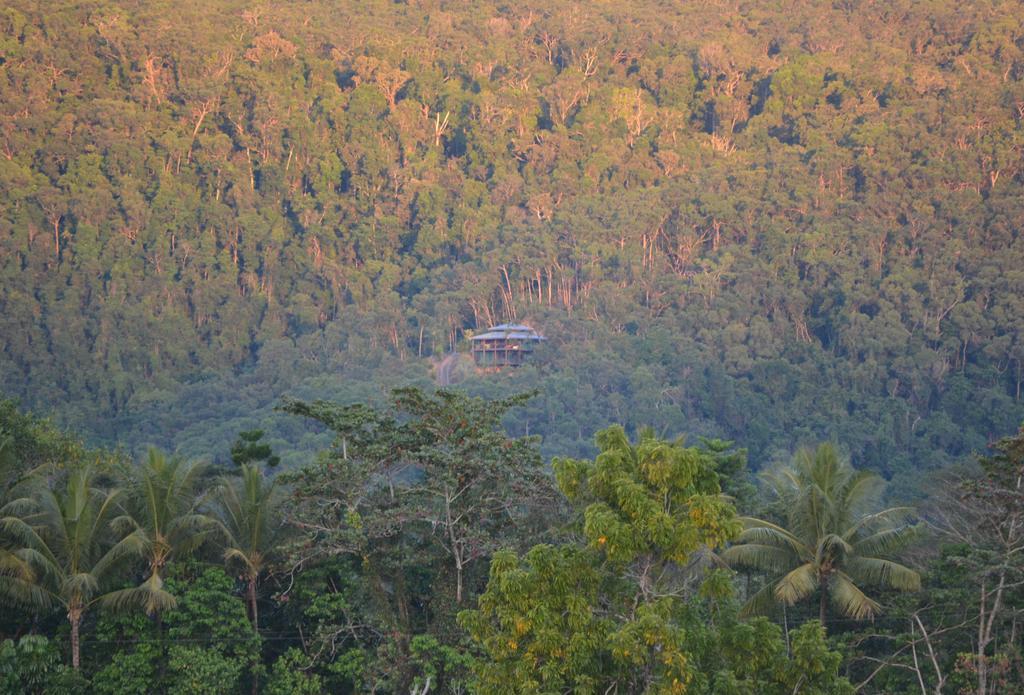 Cloud 9 Villa Daintree Exterior photo